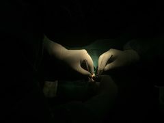 -瑞鹏宠物医院·爱宠堂·骨外专科(西荷分院)