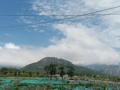 -芍药居北里