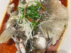 -至尊鲨鱼·原烹海鲜·新浙菜(拱宸桥店)