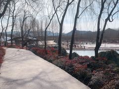 -东方巨龟苑景区