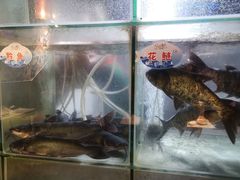水产区-蛙鱼道美蛙鱼自助火锅(新耍都店)