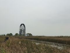 -苏州太湖湖滨国家湿地公园