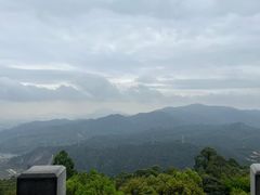 -水濂山森林公园