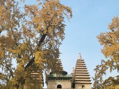 -北京石刻艺术博物馆(五塔寺)