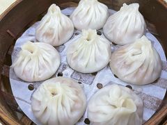 -莱莱小笼·乔艾