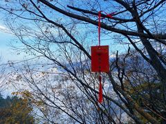 -终南山南五台景区