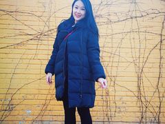 -三里屯东五街银杏大道