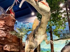 -湖南省地质博物馆