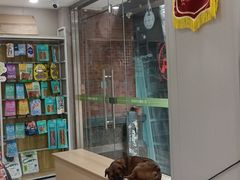 -瑞鹏宠物医院·超声·骨科·奇麟分院(蜀都万达店)