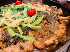 -老板恋上鱼(荣盛广场店)