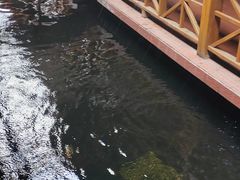 -侠成水上农庄(工业大道店)