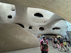 -美国自然历史博物馆