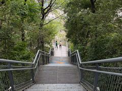 -佛山华盖山公园