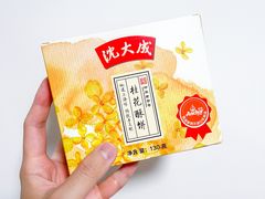 -沈大成(南京东路店)