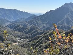 -大岭沟猕猴桃谷风景区