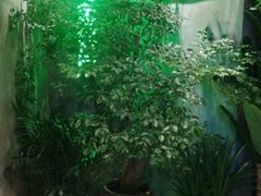 android_upload_pic-叹鱼·贵阳烤鱼餐厅(中大国际店)
