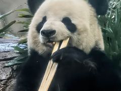 -临沂动植物园