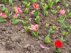 -同济大学(嘉定校区)