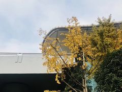 -百林公园-两江幸福广场
