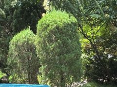 -大连植物园