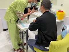 -艾吉宠物医院·疑难杂症转诊中心·猫友好(碧江路院)