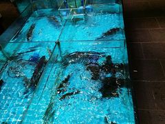-老村长•湖北家常菜(黄浦路店)