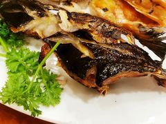 -青瓦餐厅·生鱼片·韩园烤肉(西塔店)