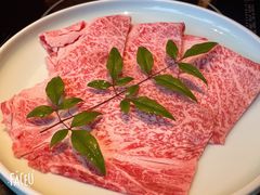 -然锅料理