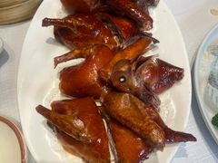 -新雅粤菜馆(南京东路店)