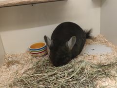 -龙猫仔乐园(惠福东路店)