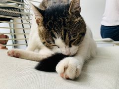 -UNIUNI(凯瑟琳广场店)