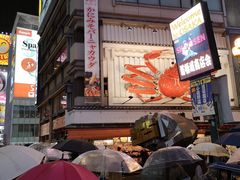 -蟹道乐(道顿堀本店)