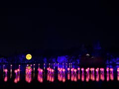 -印象西湖·最忆是杭州实景演出