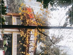-嘎嘎鸭脑壳江湖菜(五里店)