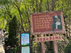 -金龙寺国家森林公园