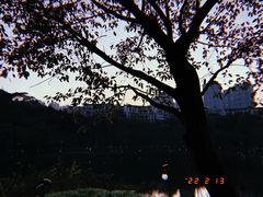 -重庆彩云湖湿地公园