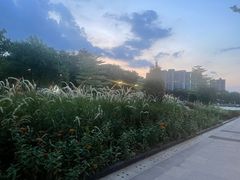 -映月湖公园