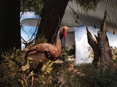 -中国湿地博物馆