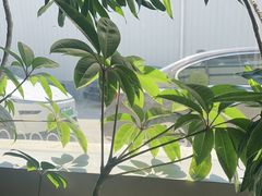 -花菇朵 ll 野生菌火锅·精品云南菜(后沙峪店)