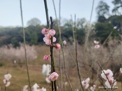 -广州市白云山风景名胜区