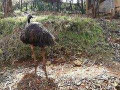 -昆明动物园