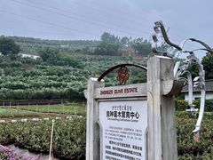 -西昌邛海湾柏樾酒店(原邛海湾柏栎度假酒店)