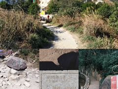 -梧桐山风景名胜区