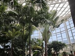 -石家庄市植物园