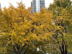 -苏州河梦清园环保主题公园