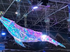 -海合安青岛极地海洋公园