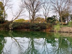 -西溪国家湿地公园