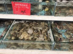 水产区-东来菜馆•手抓海鲜家常菜•海鲜锅贴(鸽子窝店)