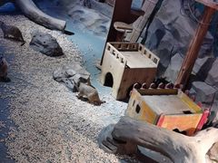 -绿色星球动物主题公园