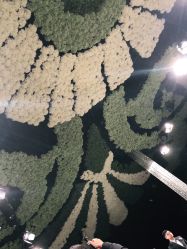 -格乐利雅婚礼艺术中心(南外滩店)